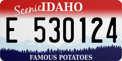 ID license plate E530124