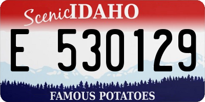 ID license plate E530129