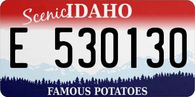 ID license plate E530130