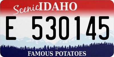 ID license plate E530145