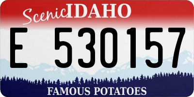 ID license plate E530157