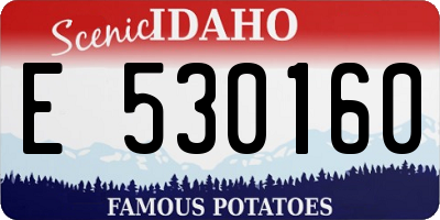 ID license plate E530160