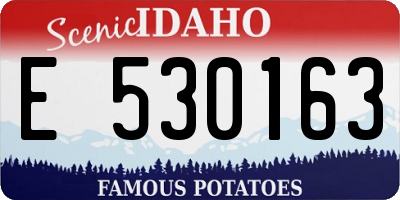 ID license plate E530163