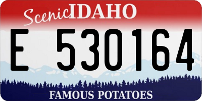 ID license plate E530164