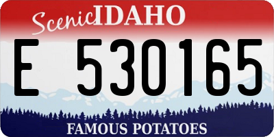 ID license plate E530165