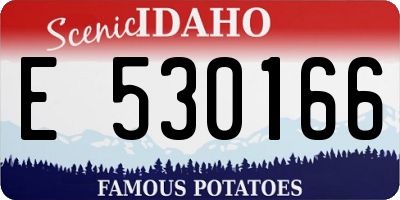 ID license plate E530166