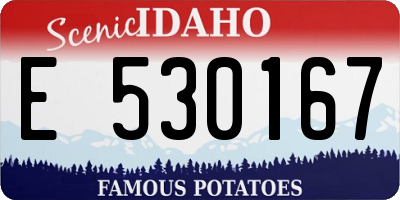 ID license plate E530167