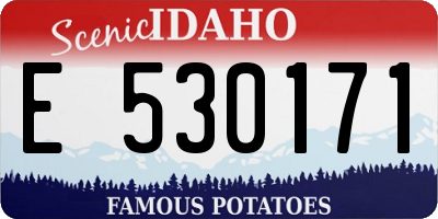 ID license plate E530171