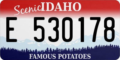 ID license plate E530178