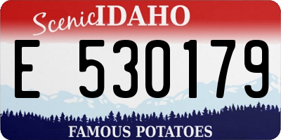 ID license plate E530179