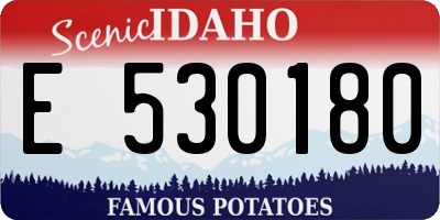 ID license plate E530180