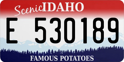 ID license plate E530189