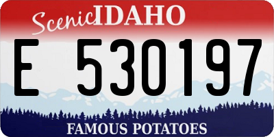 ID license plate E530197