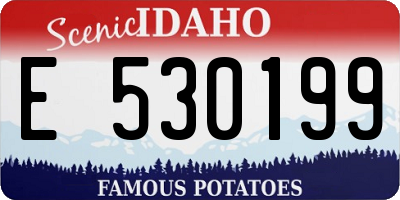 ID license plate E530199