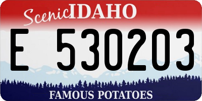ID license plate E530203