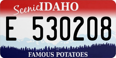 ID license plate E530208