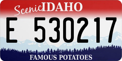 ID license plate E530217
