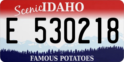 ID license plate E530218