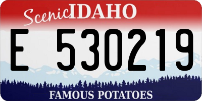 ID license plate E530219
