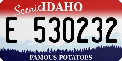 ID license plate E530232