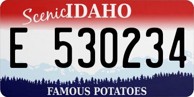 ID license plate E530234