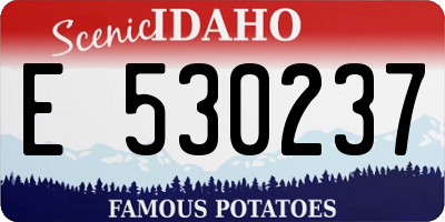 ID license plate E530237