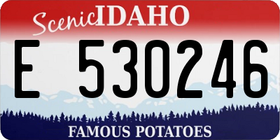 ID license plate E530246