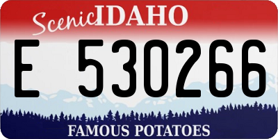 ID license plate E530266
