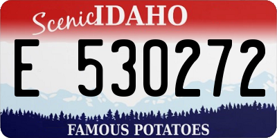 ID license plate E530272