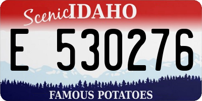 ID license plate E530276
