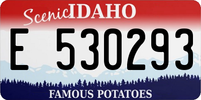 ID license plate E530293