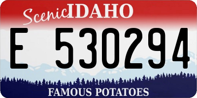 ID license plate E530294