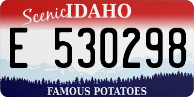 ID license plate E530298