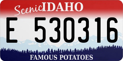 ID license plate E530316