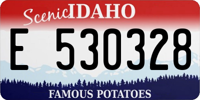 ID license plate E530328