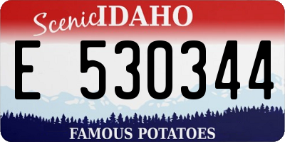 ID license plate E530344