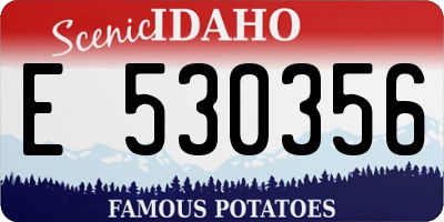 ID license plate E530356