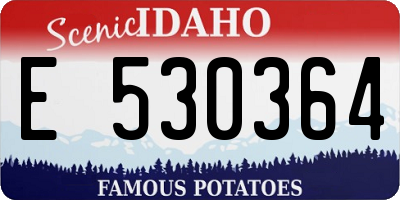 ID license plate E530364