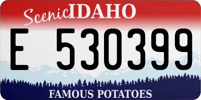ID license plate E530399