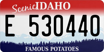 ID license plate E530440