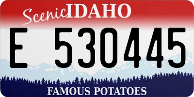 ID license plate E530445
