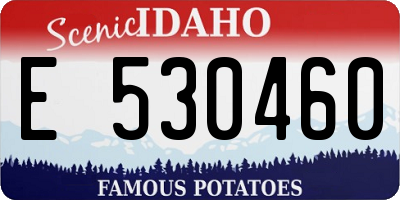 ID license plate E530460