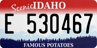 ID license plate E530467