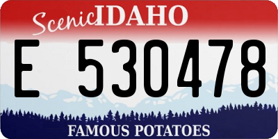 ID license plate E530478