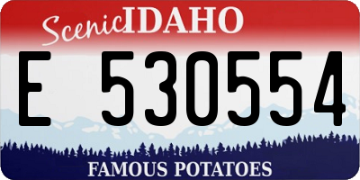 ID license plate E530554