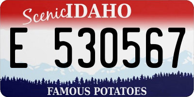 ID license plate E530567