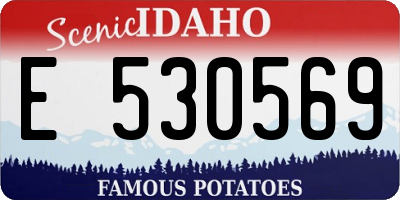 ID license plate E530569