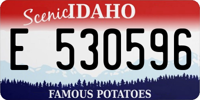 ID license plate E530596
