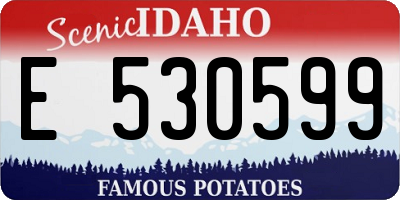 ID license plate E530599