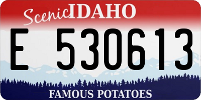 ID license plate E530613